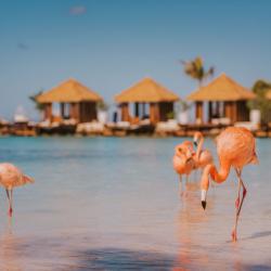 Romance Travel 2020: Renaissance Aruba Resort & Casino
